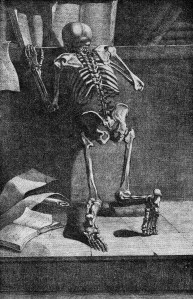 Skeleton_reading