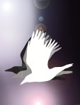 silver-crow-launch-logo